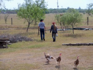 Homesteading