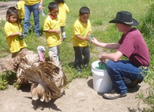 School trips in Rio Grande Valley