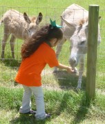 Field trips in Rio Grande Valley